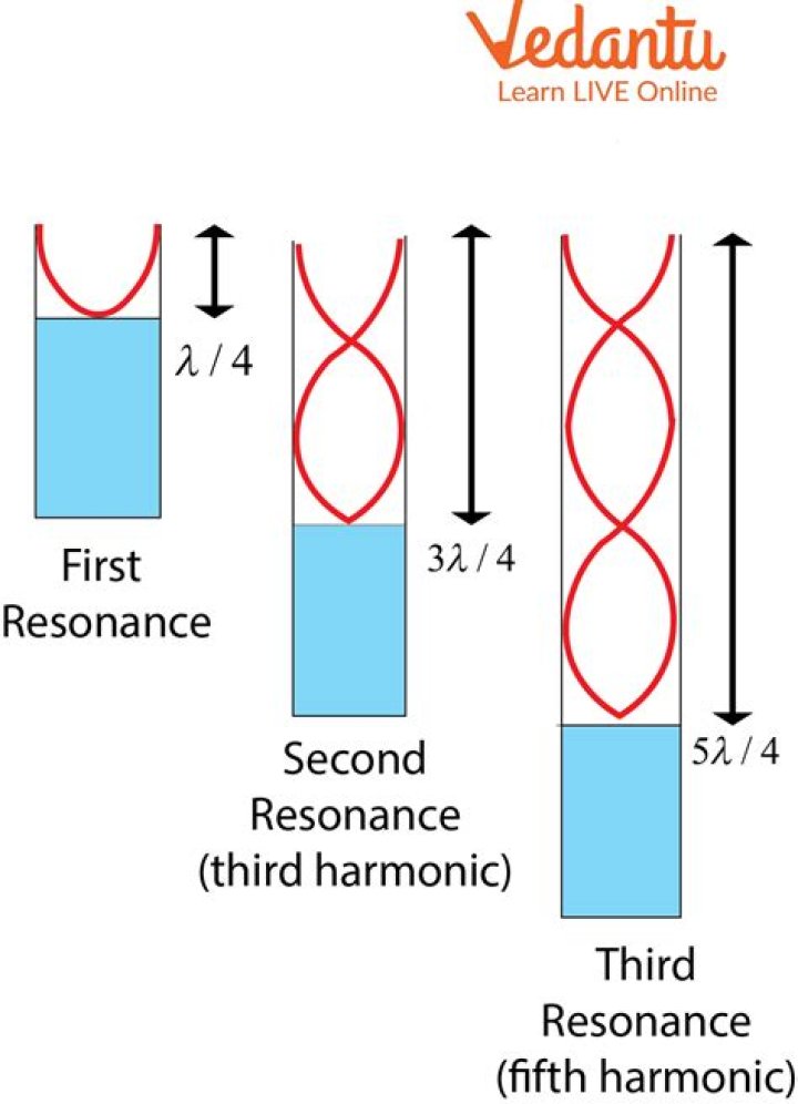 A Journey To Rich And Resonant Sound
