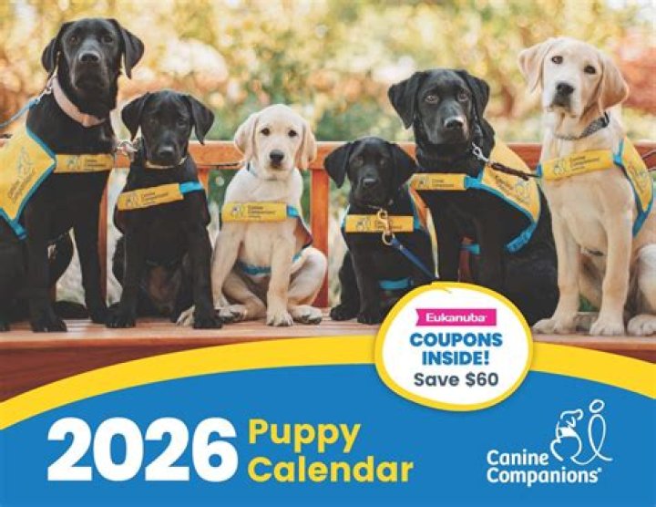 A World Of Canine Companions