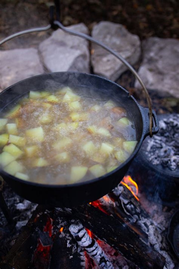 Culinary Delights By The Campfire