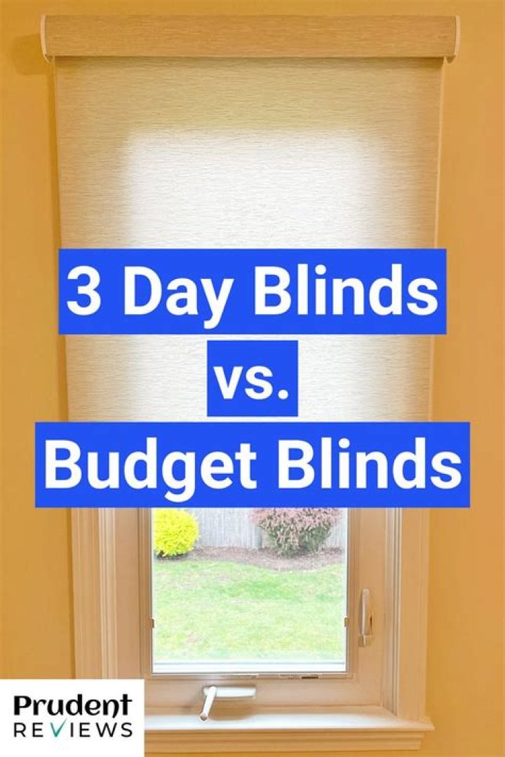 Discover The Power Of 3 Day Blinds!