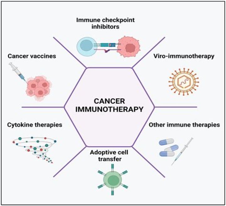Michael Polansky's Journey In Cancer Immunotherapy