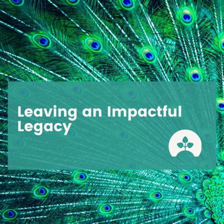 Uncover The Impactful Legacy Of Raquel Reed: Discoveries And Insights
