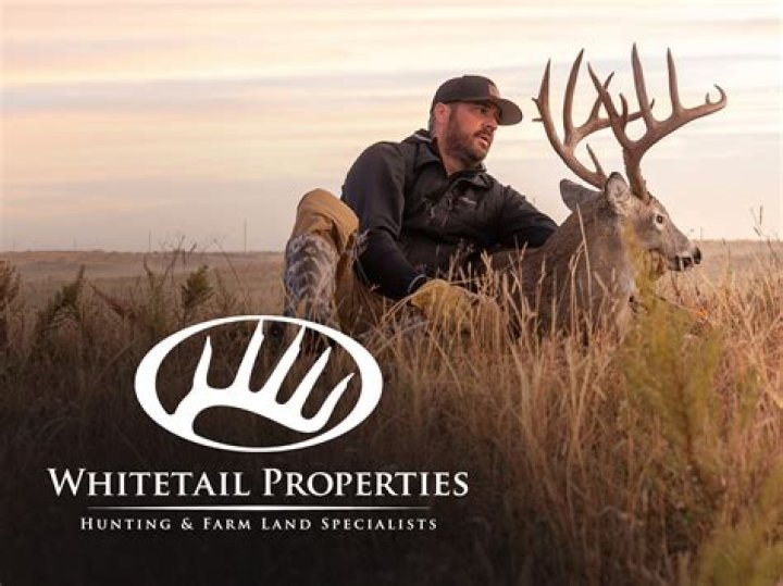 Unveiling The Secrets Of Whitetail Properties: A Hunter's Paradise Revealed